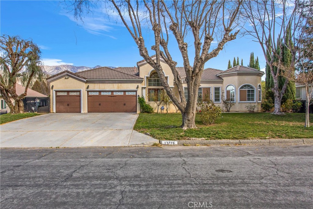 13776 Meadow View