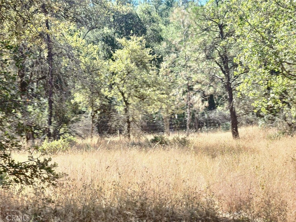 48 Rices Texas Hill Road