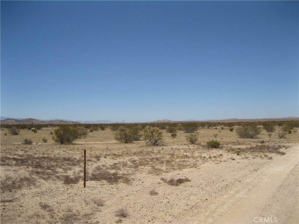 0 Cypress