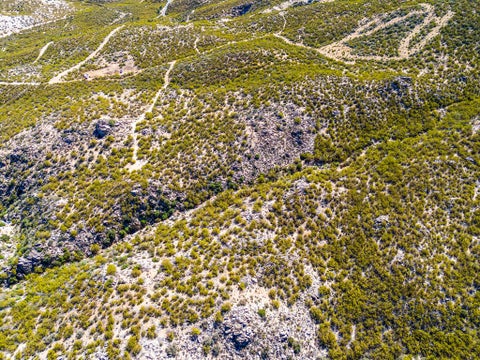 Photo of 0 Palace Drive, Mountain Center, CA 92561 (MLS # 219149535DA)