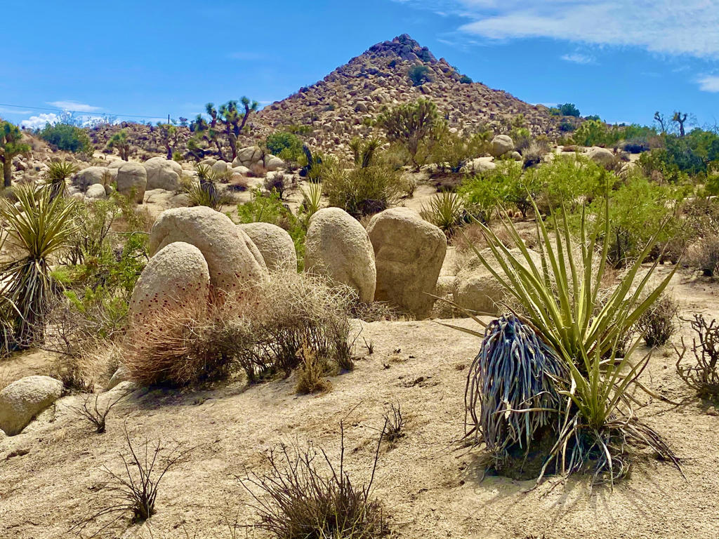 5 hilltop acres with skyline views, majestic boulders, mature desert fauna, and utilities. Inside the Shatin Heights HOA boundaries to ensure higher standards among neighbors. Million dollar homes in the area. To the west lies an approximately 87 acre patch of BLM public lands for hiking, dog walking and added privacy. Close to all amenities that are just down the hill. Joshua Tree National Monument sees about 3 million visitors annually making this a super hot vacation rental market. 30 miles to Palm Springs. 62 miles to Big Bear. 124 miles to downtown Los Angeles. Buyers must contact the city of Yucca Valley for all questions on building and usage. Buyers must verify all utilities and lot size directly with the appropriate agencies. Don't Wait! - Call Now!APN: 0601-041-04-0000GPS: 34.144385, -116.401264