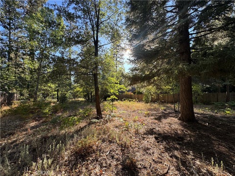 Photo of 0 Fern Valley Road, Idyllwild, CA 92549 (MLS # CV26210851)