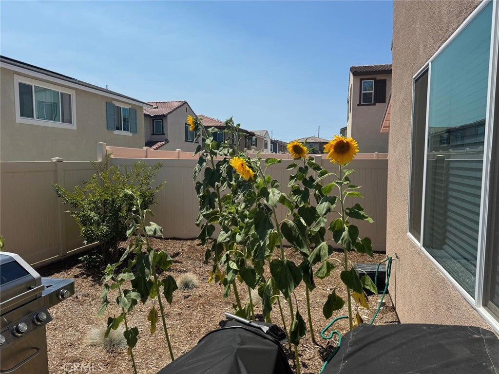 36612 Desert Tortoise Road