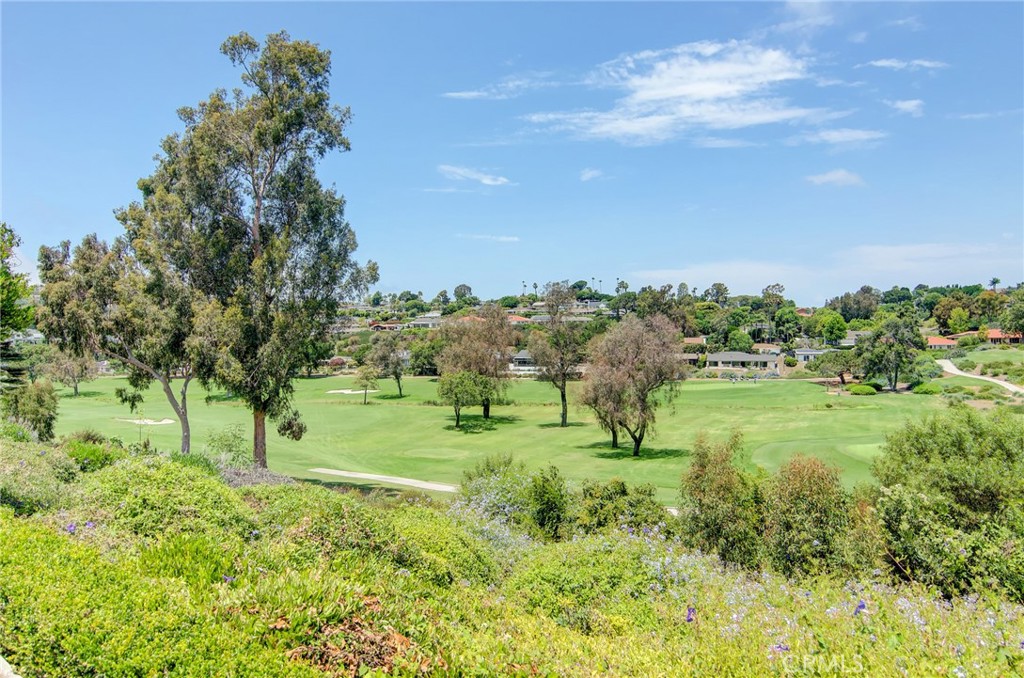 El Niguel Heights (ENH) - Residential Lease