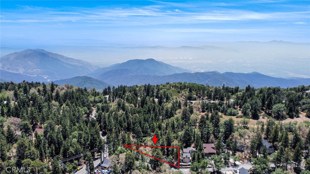 This Spacious mountainous vacant lot offers an exceptional opportunity to build your dream home. Great location at the top of the mountain. Spacious and level to the street with a round about driveway. The lot invites a relaxed rural lifestyle, yet remains conveniently located near main roads for a short and smooth commute to nearby towns or cities; it is close to 18 HWY for easy commuting, Rim of the World High school is around the corner, and Lake Arrowhead Village is just 7 minutes away. Utilities are close and available but not connected. Buyer to do due diligence.