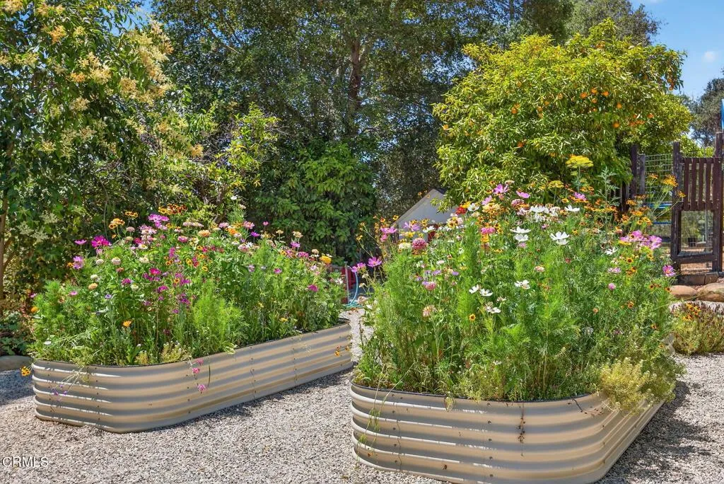 Ojai, California 93023, United States, 3 Bedrooms Bedrooms, ,3 BathroomsBathrooms,Residential,Active,170459