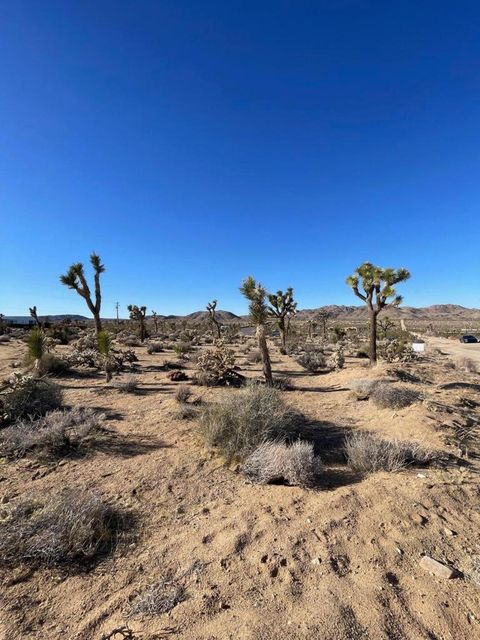 Photo of 0 Saddleback Road, Joshua Tree, CA 92252 (MLS # 219127215DA)