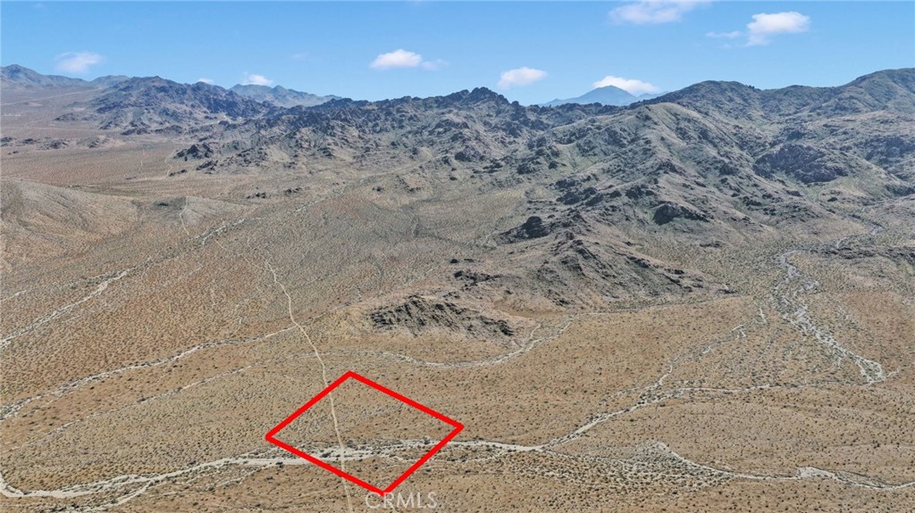 12 Off Highway 247/Brack Rd