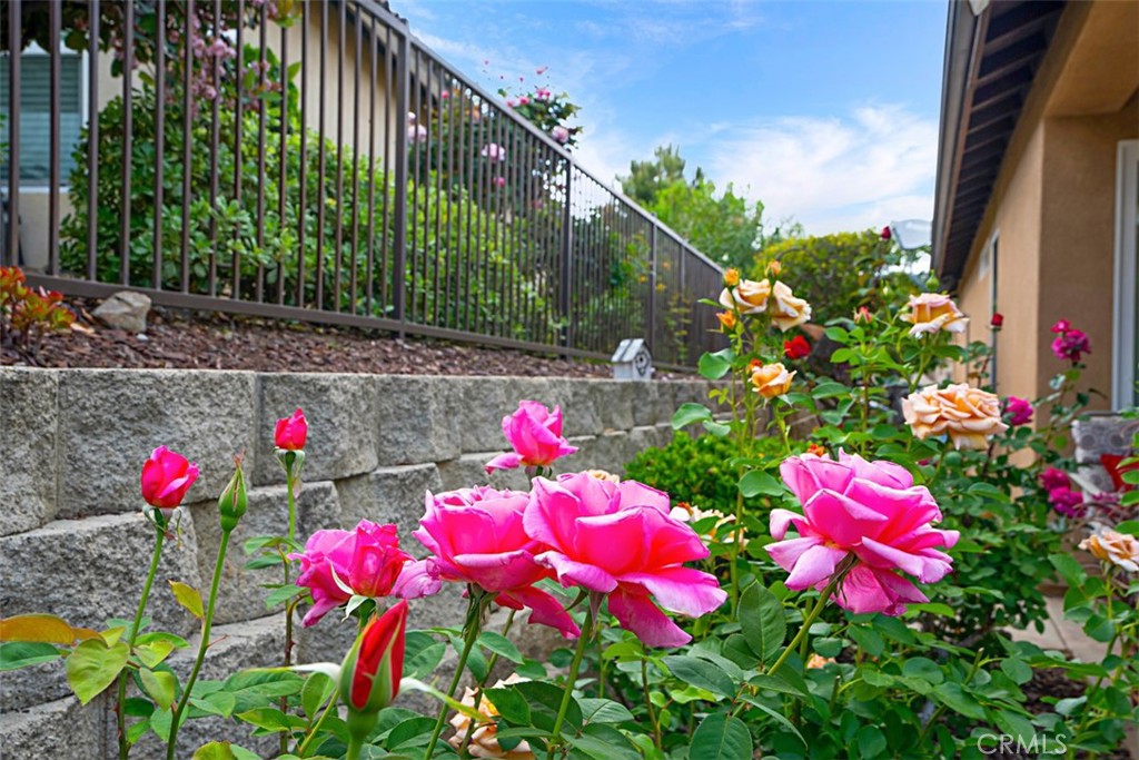 Trilogy at Glen Ivy - Residential