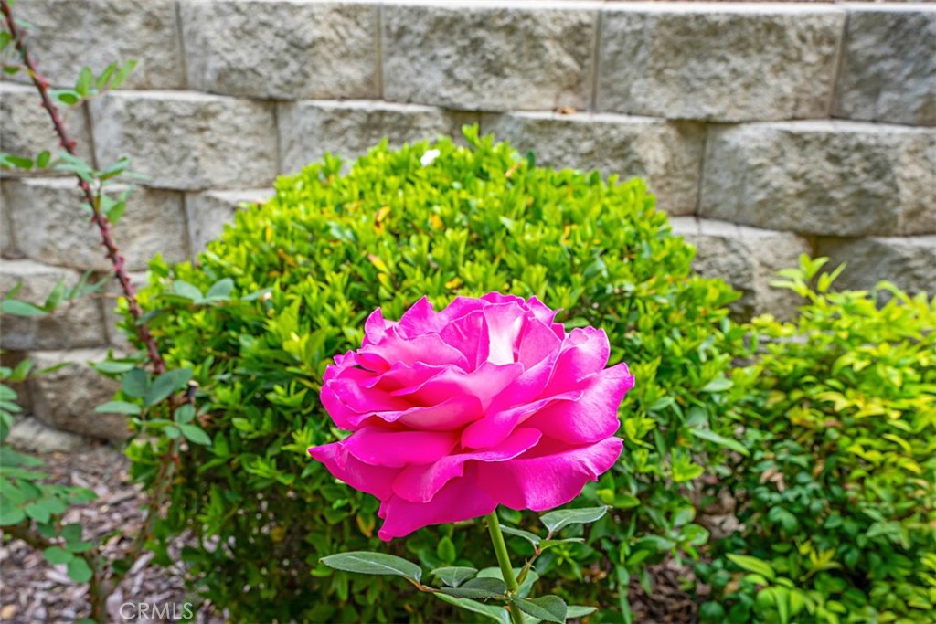 Trilogy at Glen Ivy - Residential