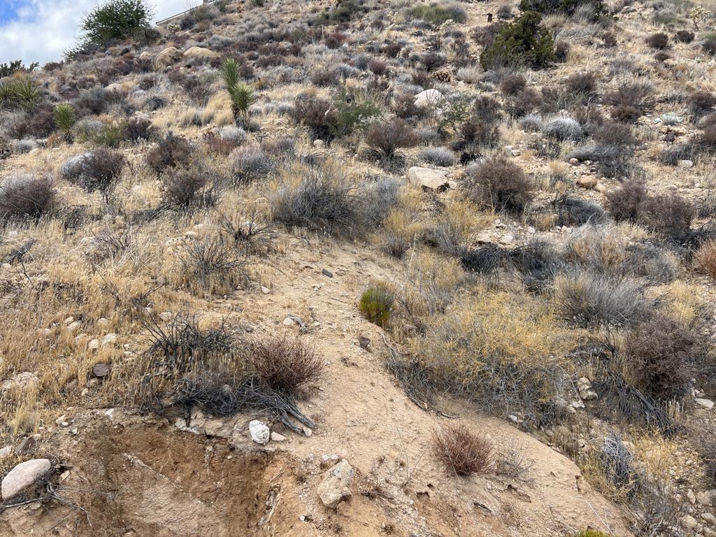 Not Applicable-1 - Land