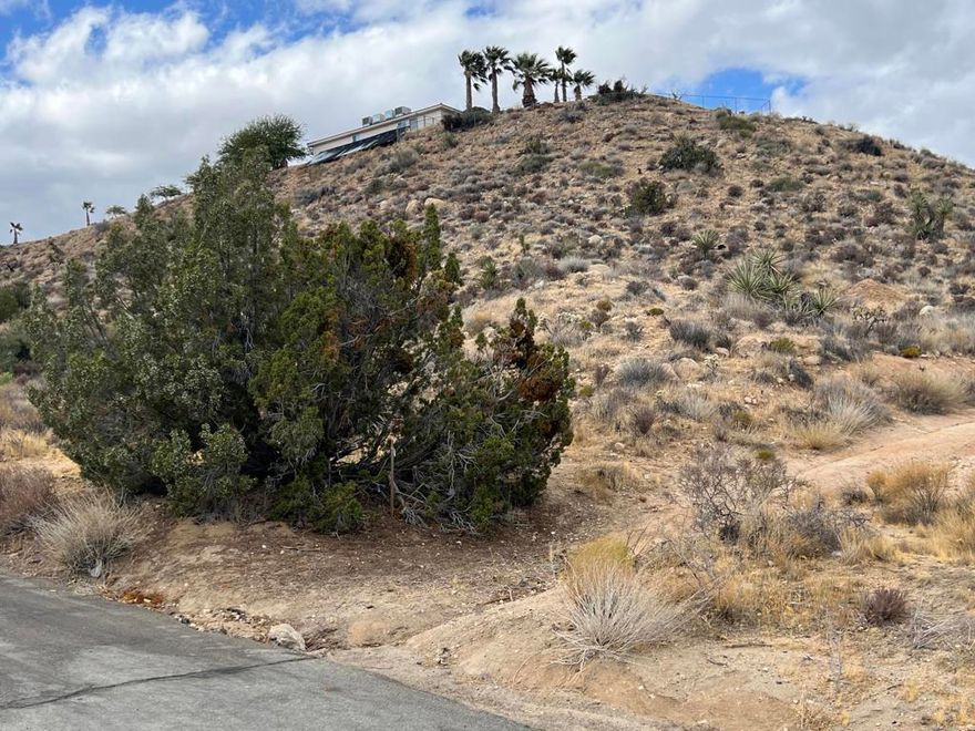 Exceptional opportunity to own a half-acre lot in a private, prime hillside location in Yucca Valley. This unique property offers stunning views and the perfect setting for a custom home. All the groundwork has been done, including a completed survey and perk test, saving you time and effort. Additionally, architect-drawn plans are available, making it easier to bring your vision to life. Don't miss the chance to build your dream home or investment property in this exclusive and serene location!