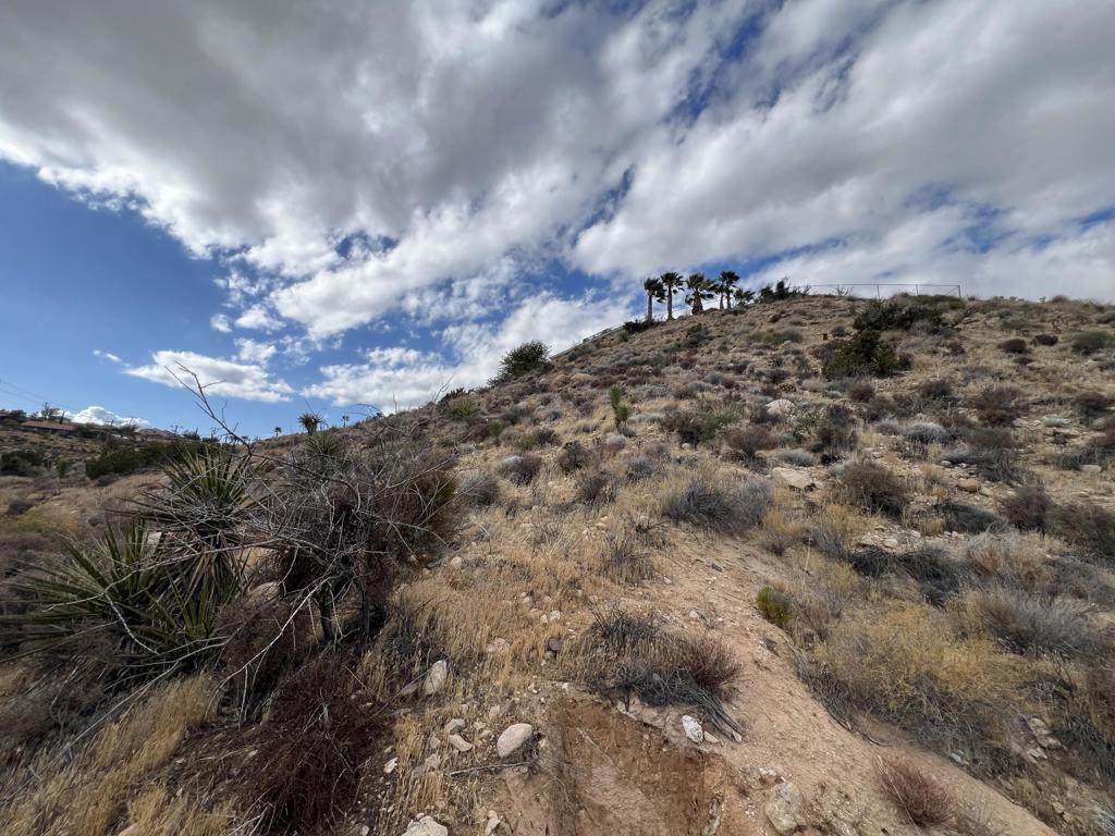 Not Applicable-1 - Land