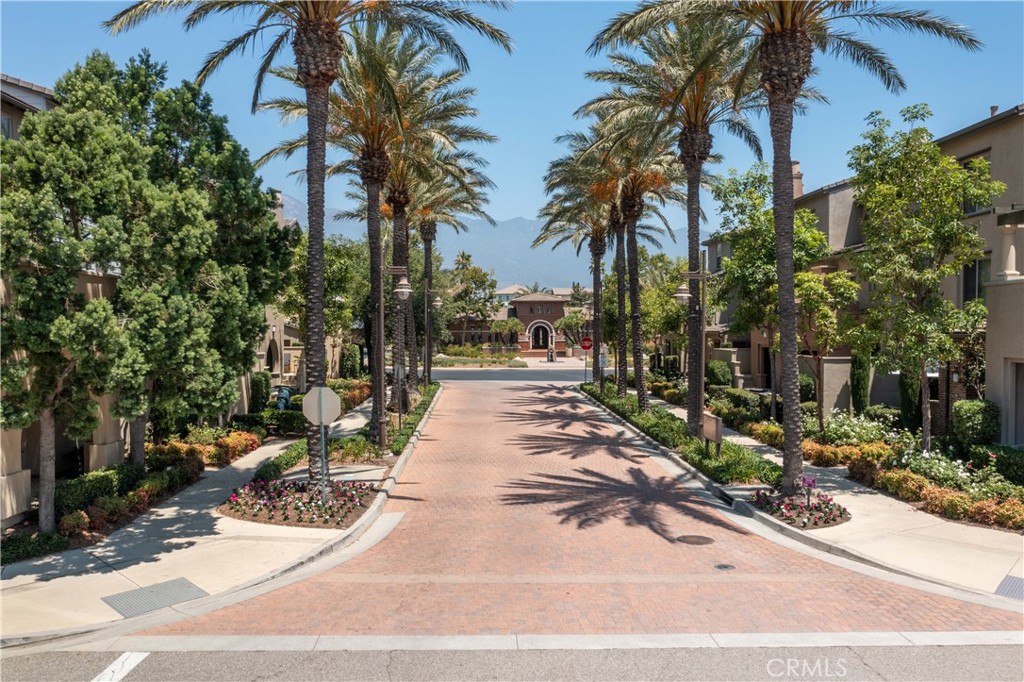 7676 Papyrus Place 2