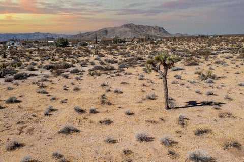 Photo of 204 Avenida Del Sol, Joshua Tree, CA 92252 (MLS # 219152149PS)
