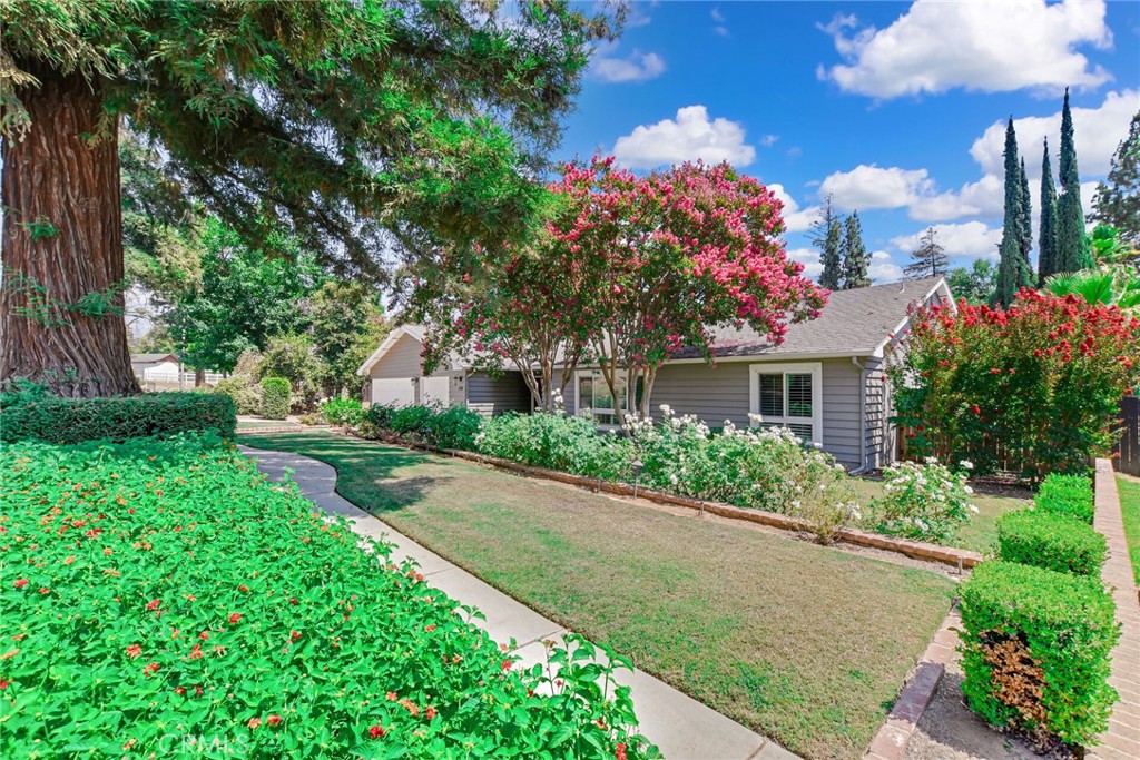 240 Campbell Avenue