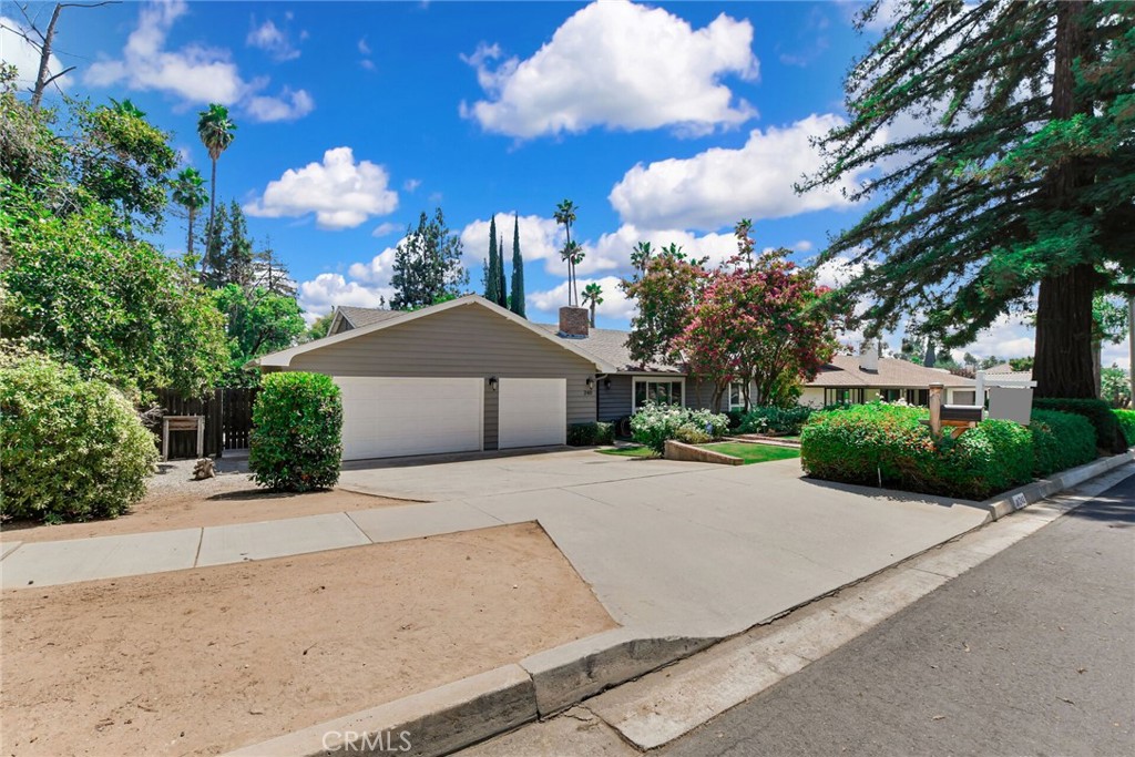 240 Campbell Avenue