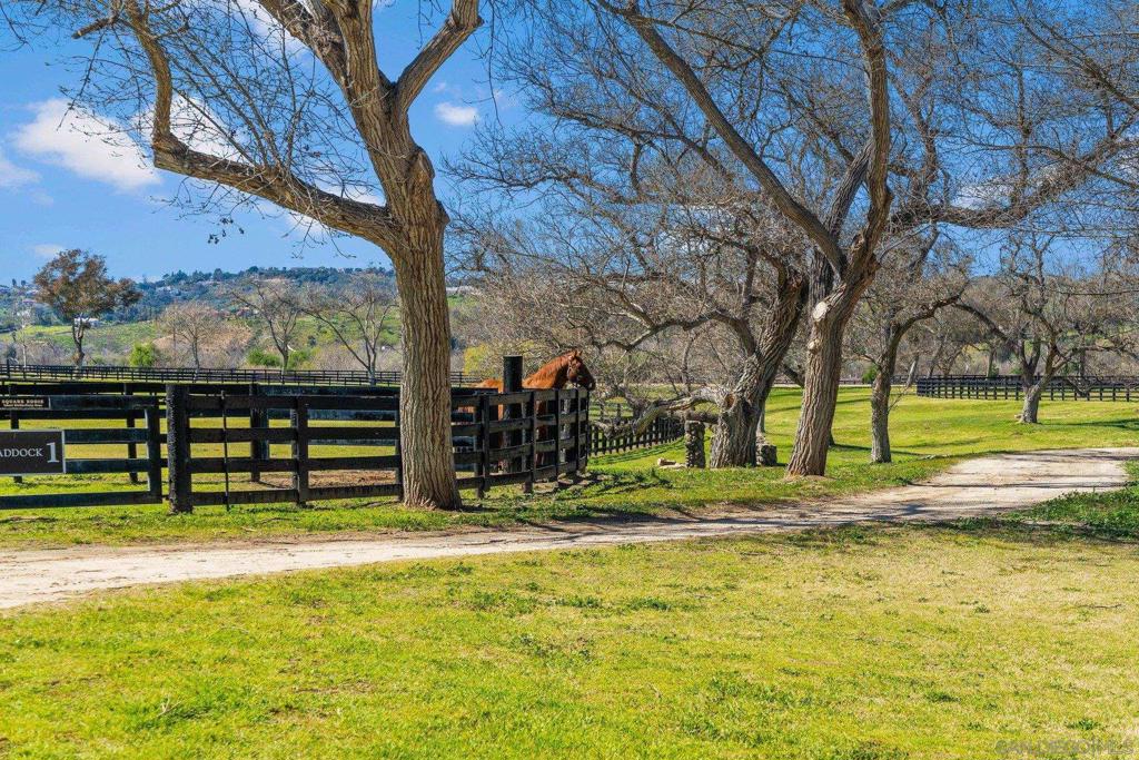 Bonsall - Residential