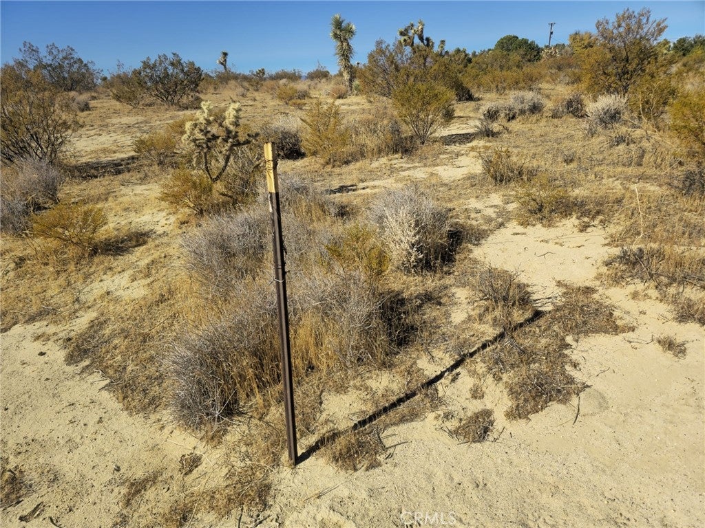 5 Mojave Tropical