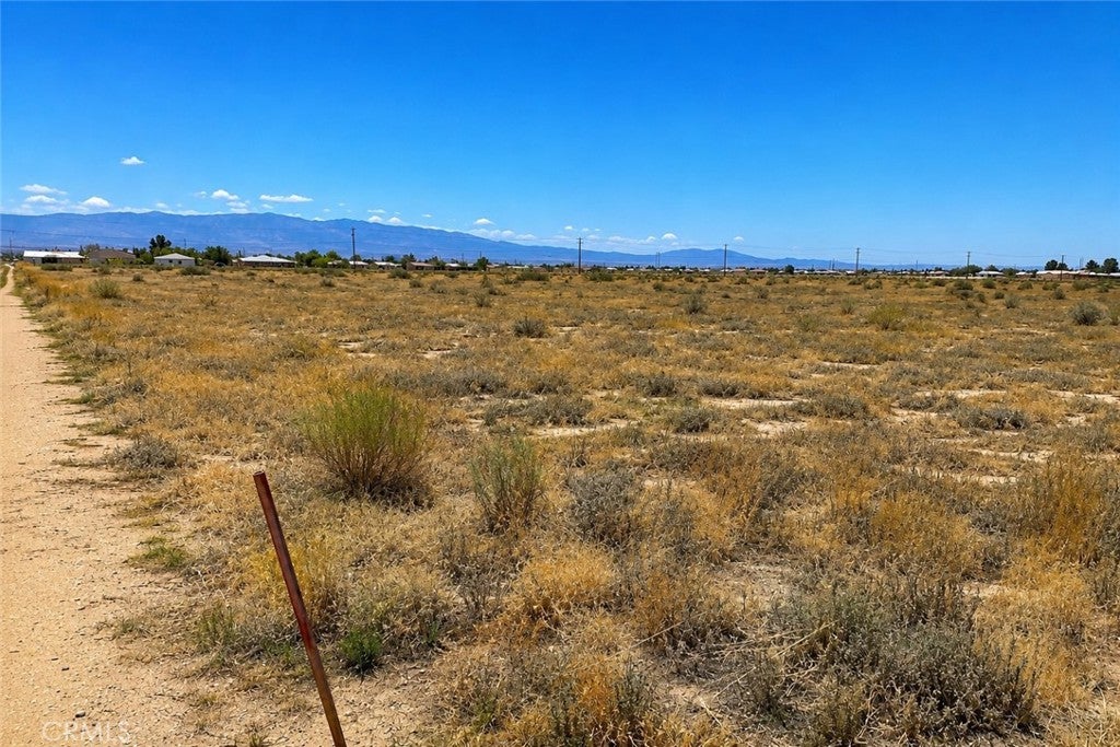 5 Mojave Tropical
