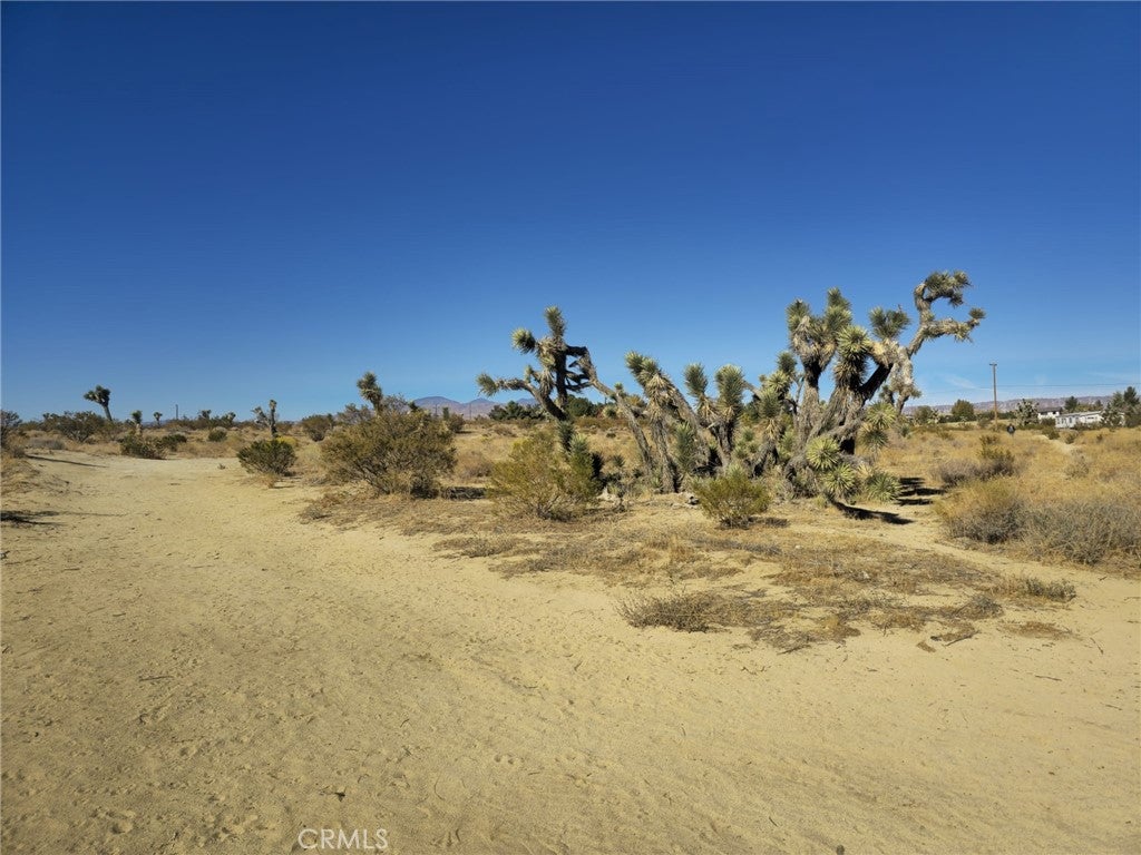 5 Mojave Tropical