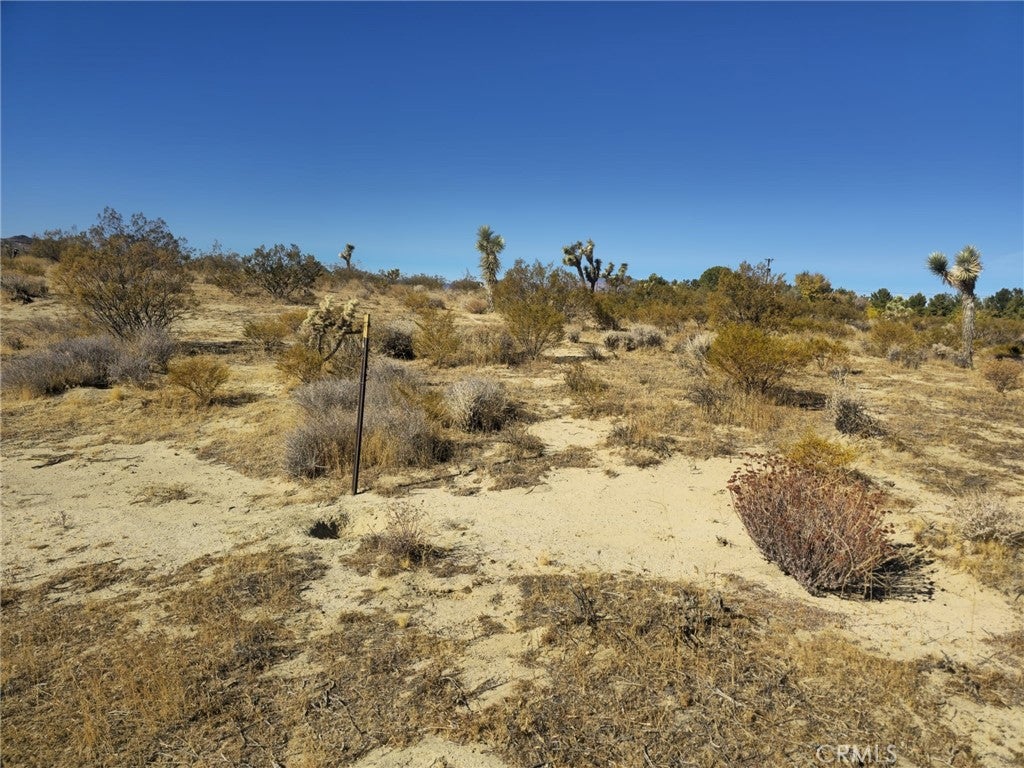 5 Mojave Tropical
