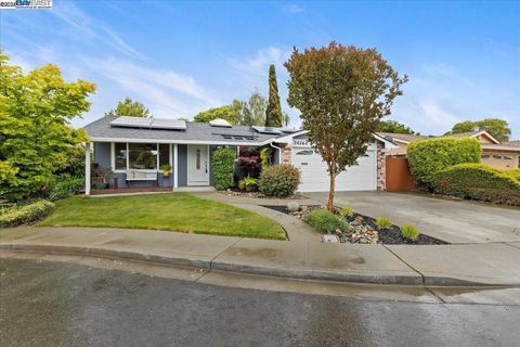 34264 Atteridge Pl Fremont CA 94555