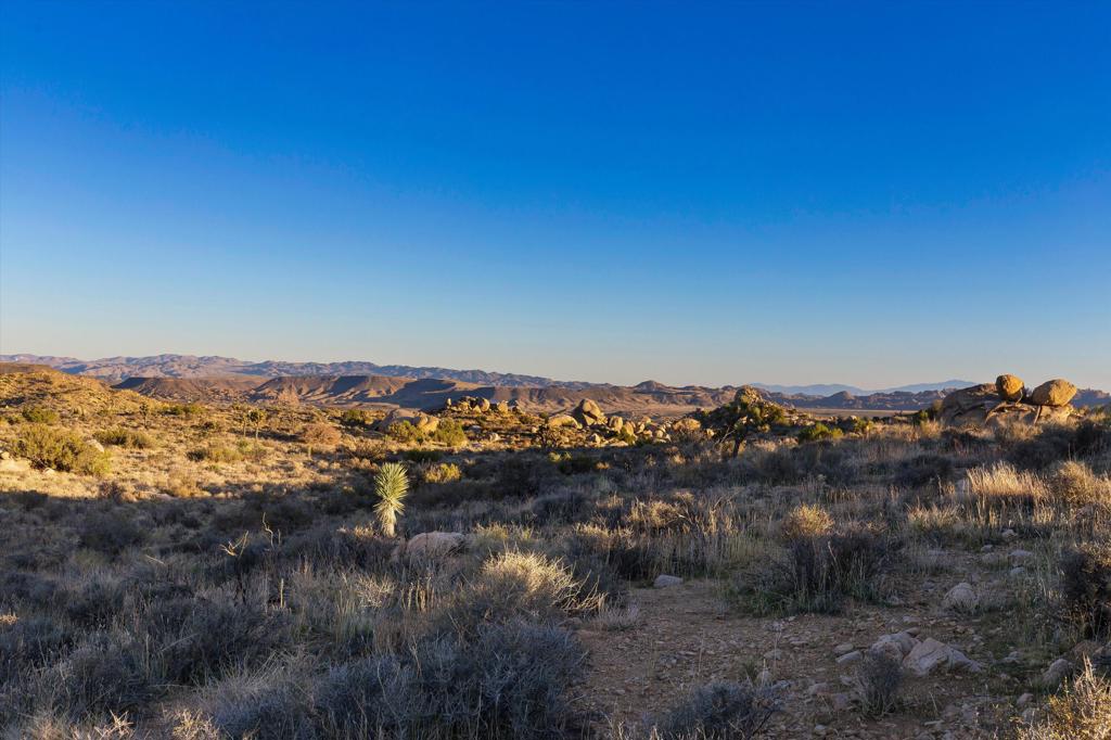 Not Applicable-1 - Land