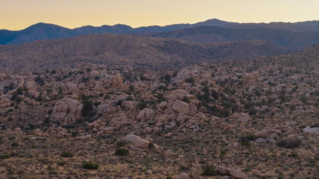 Not Applicable-1 - Land