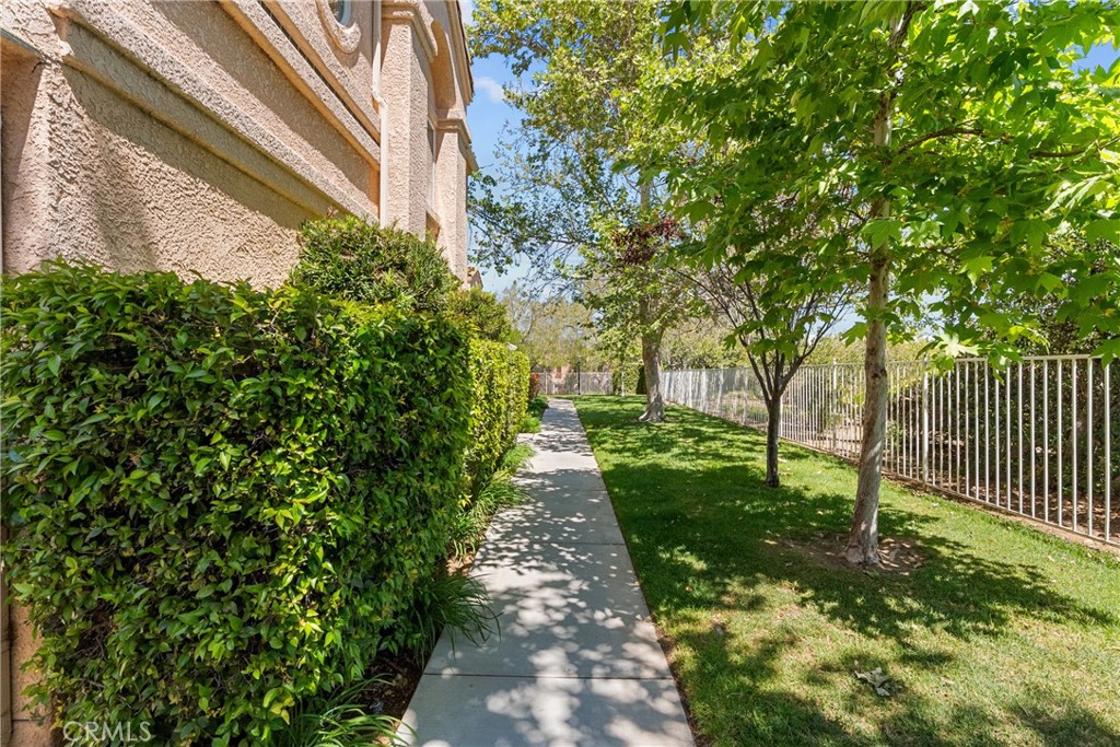 25114 Steinbeck C