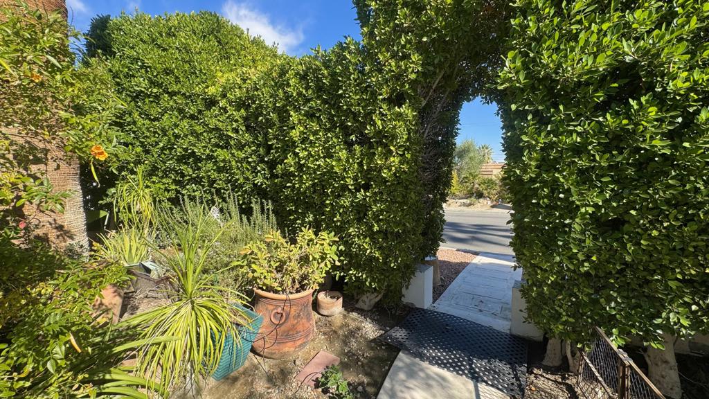 45775 Quailbrush Street