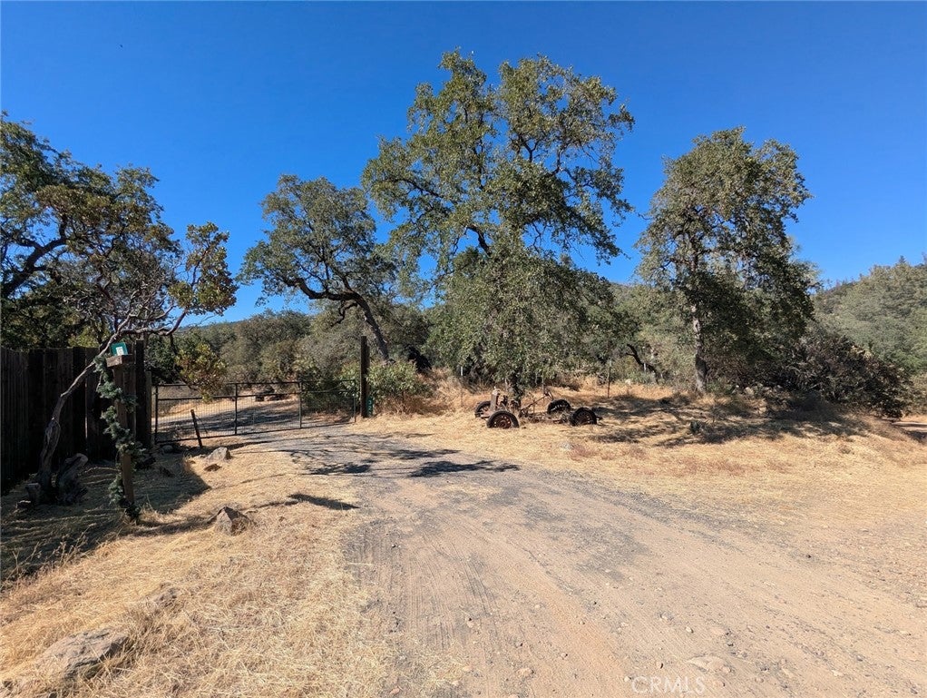 322 Deer Meadow