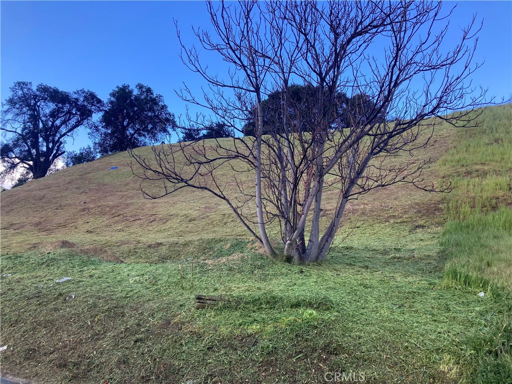 Custom Val Verde (CVVER) - Land