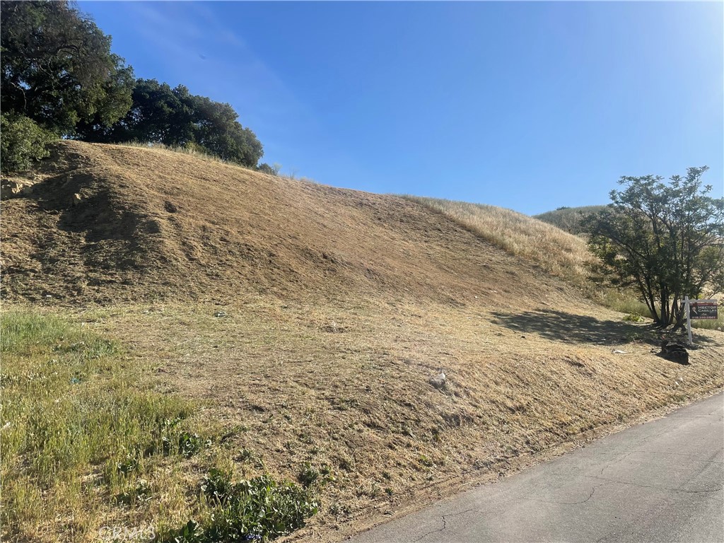 Welcome to the peaceful and scenic community of Val Verde! This vacant lot is tucked away in a quiet residential neighborhood, surrounded by rolling hills and mountain views. Enjoy the tranquility of country-style living while still being just a short drive from the conveniences of the city. Build your custom dream home in this serene setting, ideally located near Castaic, Valencia, Santa Clarita, Six Flags Magic Mountain, Lake Piru, Castaic Lake, shopping, dining, and more. Ventura Beach is also within reasonable driving distance, perfect for weekend getaways. Convenient access to the historic Highway 126 adds to the appeal. The neighboring lot 3271-020-014 is also available and can be sold together for added space and opportunity. Don’t miss your chance to own a slice of peaceful paradise with easy access to it all!