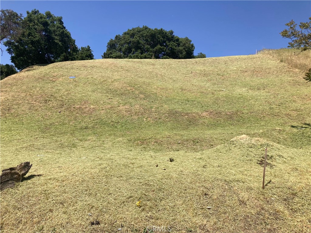 Custom Val Verde (CVVER) - Land