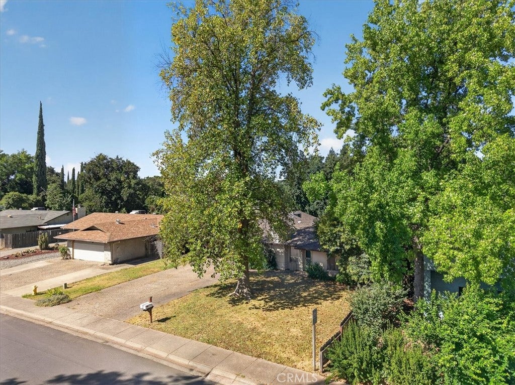 3403 Silverbell