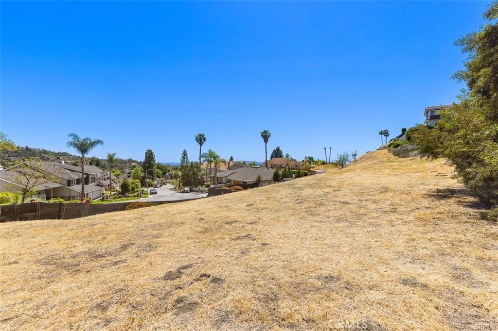13131 Lemon Leaf Lane