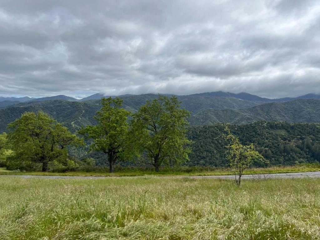 13 Long Ridge Trail