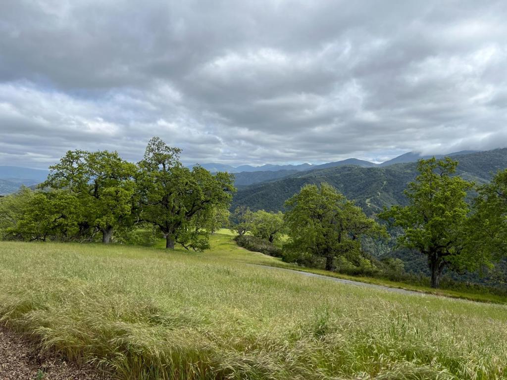 13 Long Ridge Trail