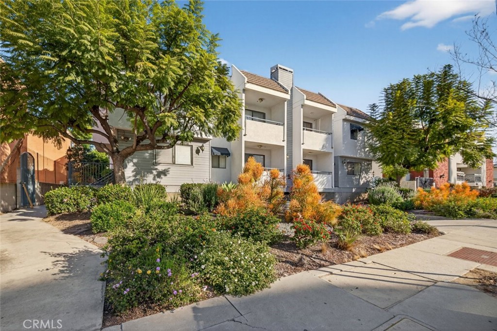 825 E Maple Street 3