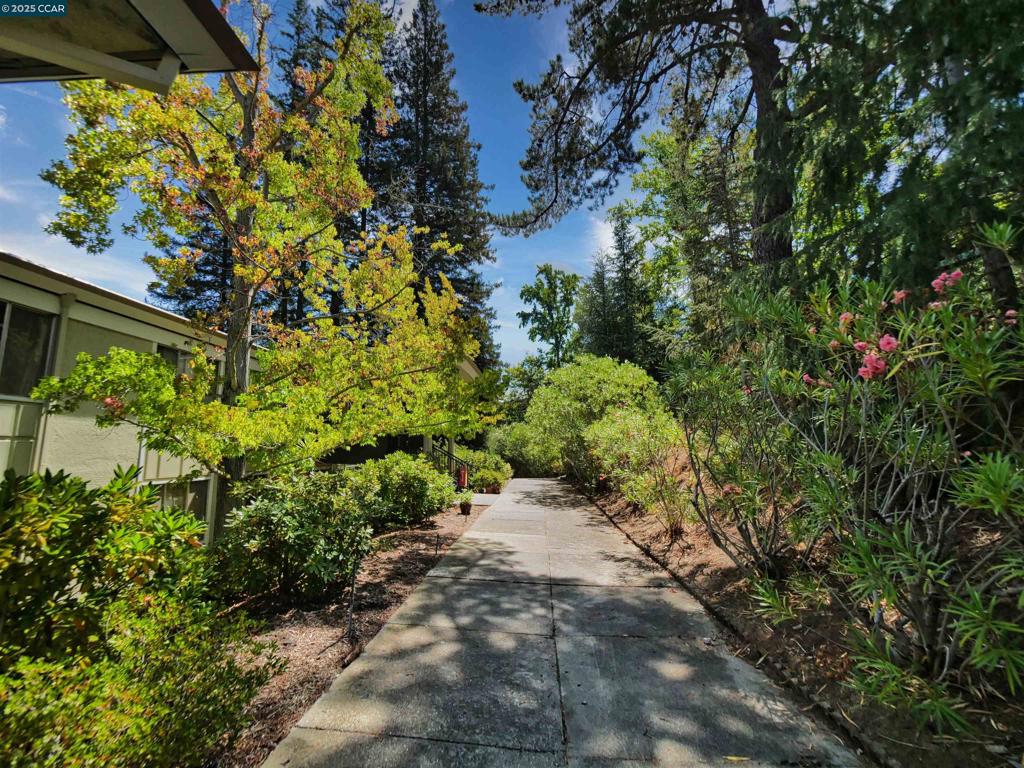 ROSSMOOR - Residential