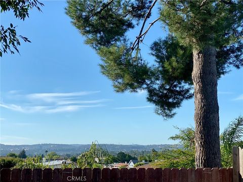 25181 Mackenzie Street Laguna Hills CA 92653