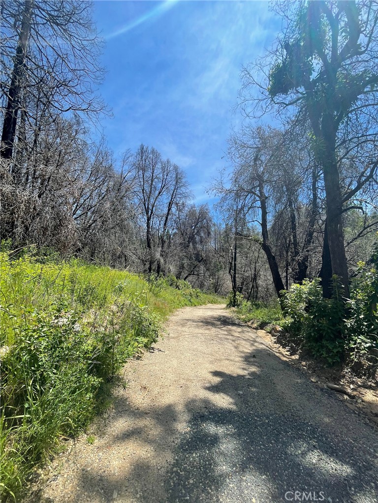 Beautiful and peaceful property in Berry Creek. The property had a 3 bedroom, 2 bath house before the Bear Fire. There is still a 28 by 34 cement slab that used to have a shop/garage on it. Seller built home as well as the masonry work that is still on property. Per seller, there is a 3-bedroom septic, a propane tank, new power from PG&E, and a brand new well as of March 2024. There are two parcels included in this price!!! The secondary parcel is also 5 acres, for a total of 10 acres. Listing price represents both parcels (10 acres). Buyer to verify all info.
