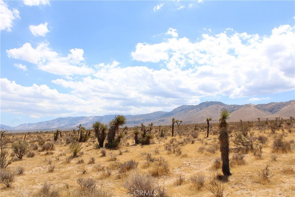 0 Canyon View Road