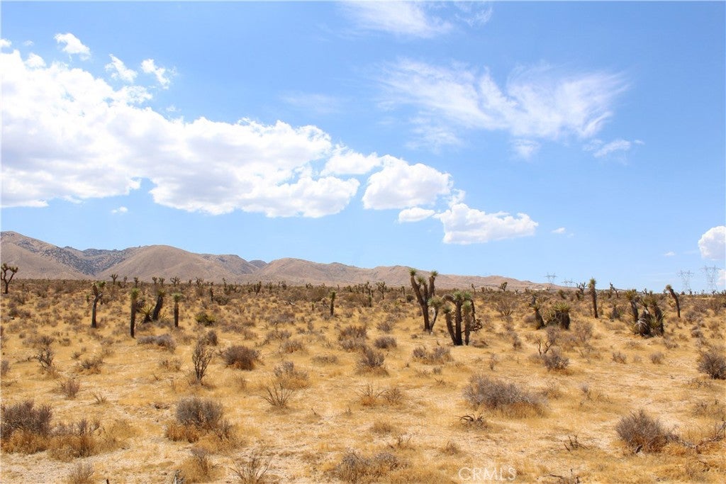 0 Canyon View Road