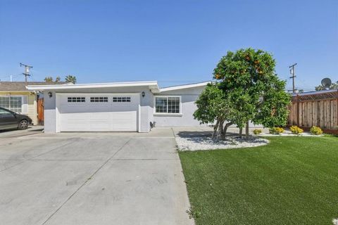 Photo of 1370 Cathay Drive, San Jose, CA 95122 (MLS # ML82041414)