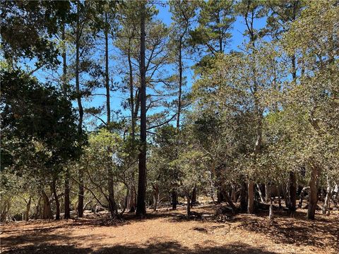 Tiny photo for 1865 Dreydon Avenue, Cambria, CA 93428 (MLS # SC25174055)