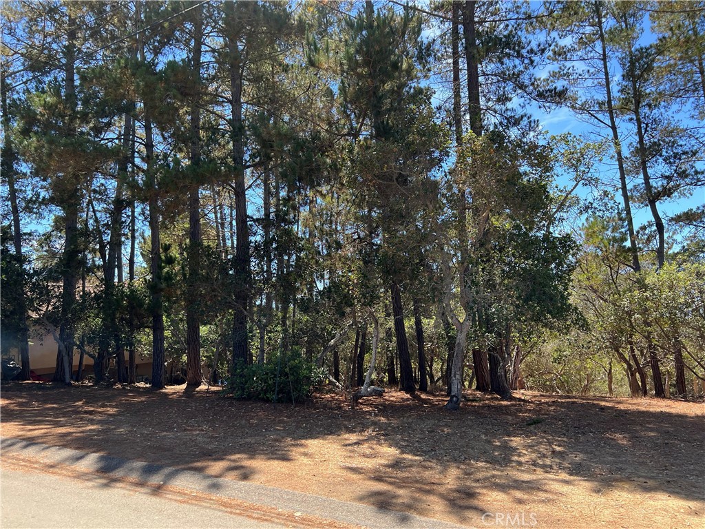 Lodge Hill(430) - Land