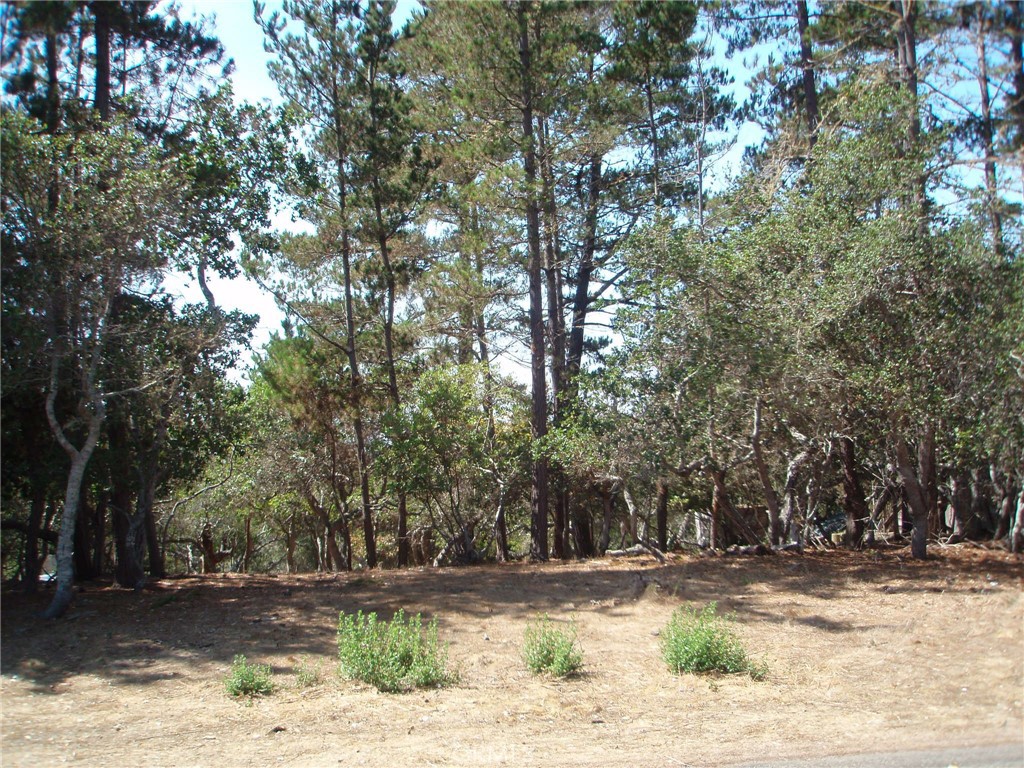 Lodge Hill(430) - Land