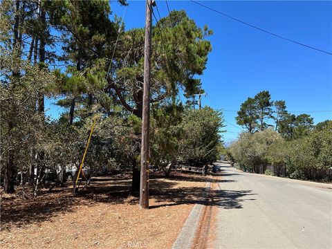 Tiny photo for 1865 Dreydon Avenue, Cambria, CA 93428 (MLS # SC25174055)